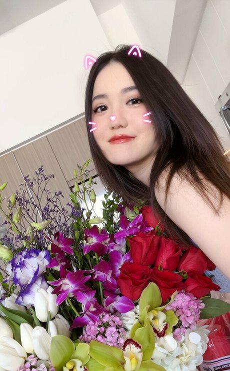 セーリングオンリーファンズ 素敵 ギャラリー