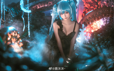 タンオンリーファン 素敵 写真