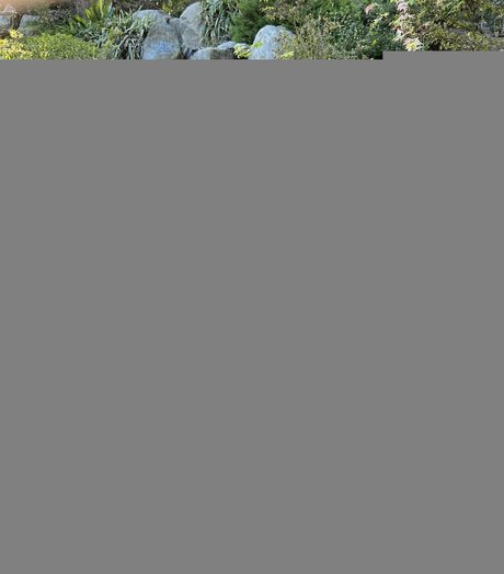 xChocobars ポルノスター 可愛い 画像