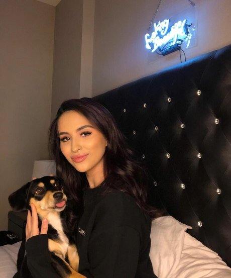 ゲイのチンポオンリーファンズ ベスト ギャラリー