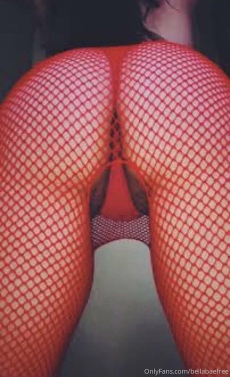 貞操帯オンリーファンズ パーフェクト 写真