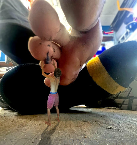 macrocole 完璧な女優 アーカイブ