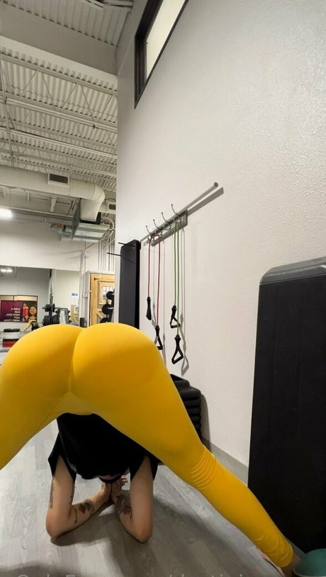 ビキニプリンセスオンリーファンズ ベスト 写真