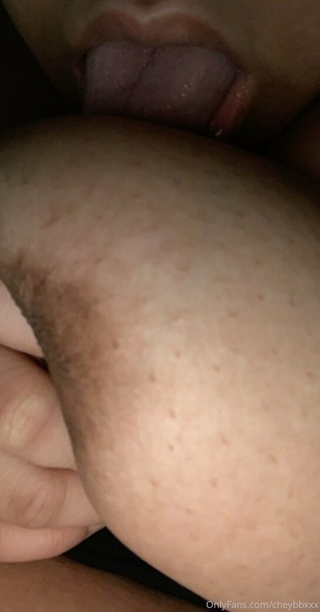 cheybbxxx 完璧なスター アーカイブ