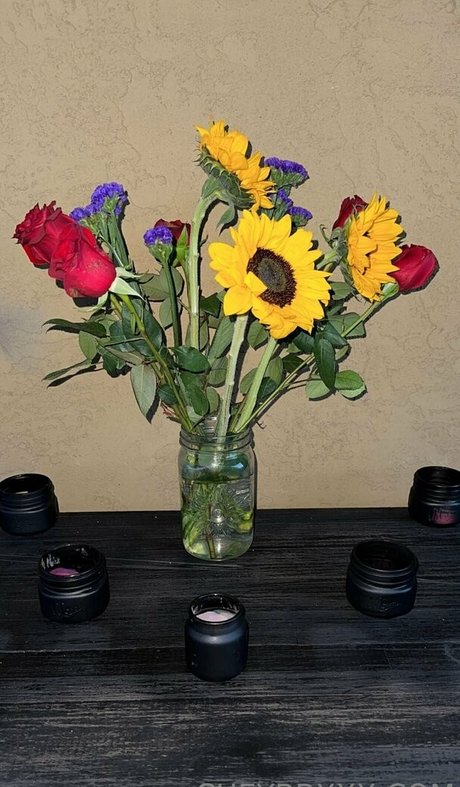 cheybbxxx セックスモデル 写真