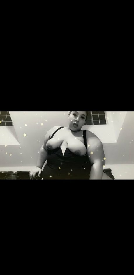 エボニートップオンリーファン トップ 写真