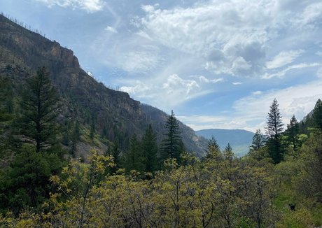 JOI オンリーファンズ ベスト 写真