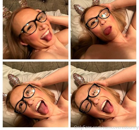 bunnycovered かわいいスター 写真