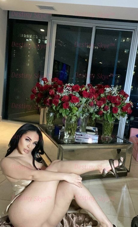 destinyskye HDモデル 写真