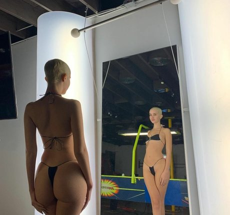 Daisy Delancey アートスター 画像