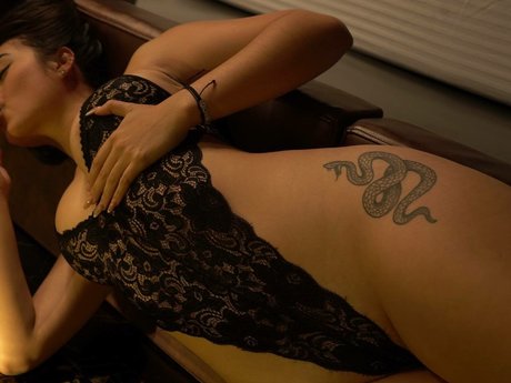 julquinter アートスター 画像