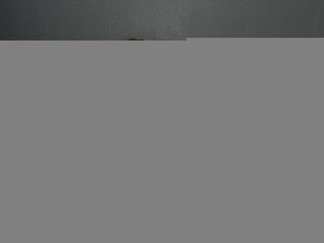 MissLetiBlane HDモデル 画像