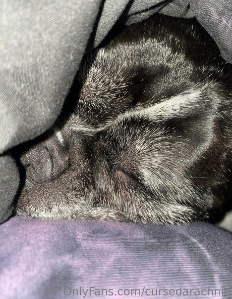 カーリーエボニーオンリーファンズ えろた ギャラリー