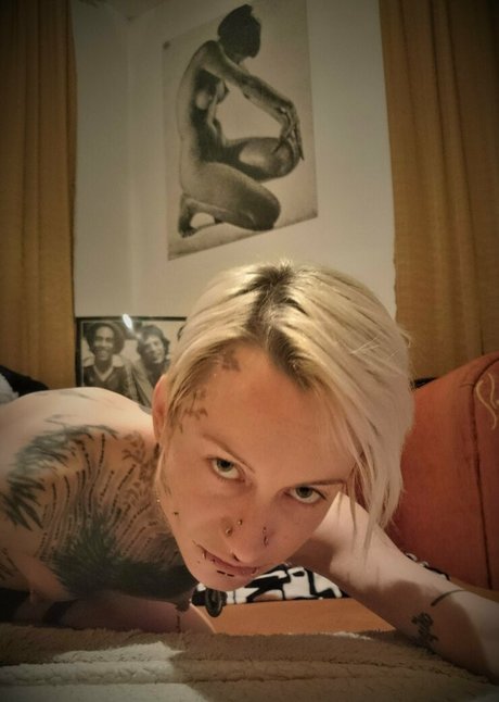 jokers free ホットモデル 画像