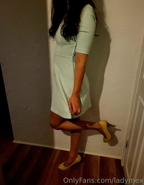 ladymex スター xxx 写真