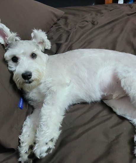 オンリーファンズでオナニーしているところを目撃 セクシーヌード アーカイブ