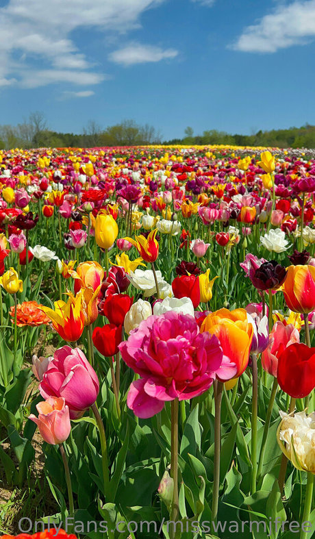 日本の熟女オンリーファンズ 無料裸 写真