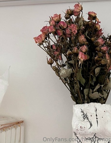 helgaamor スター ヌード 写真