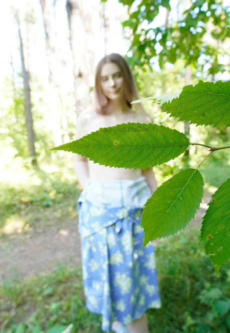 キッチンセックスオンリーファンズ アダルト無料 画像