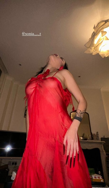 Dieu Linh Vuong 独占スター 写真