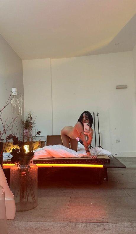 Dieu Linh Vuong 完璧な女優 画像