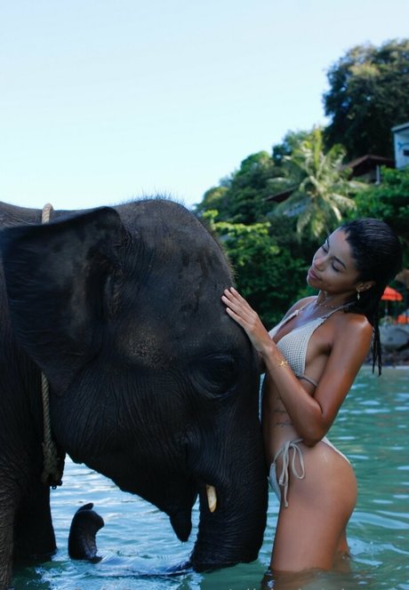 alishabright vip プロフィール写真