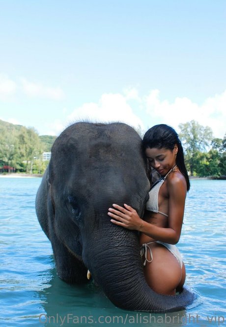 かわいいアナルオンリーファンズ ポルノ 画像