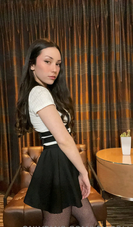 Lexipoll 素敵なモデル ギャラリー