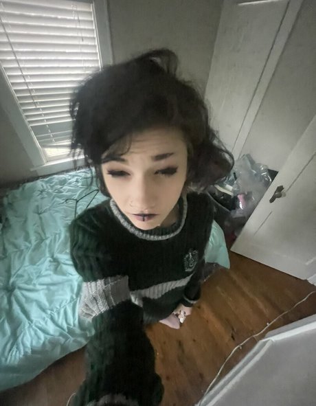 Indigoo ホットスター ギャラリー