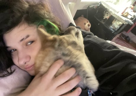 Indigoo エロティックなスター 写真