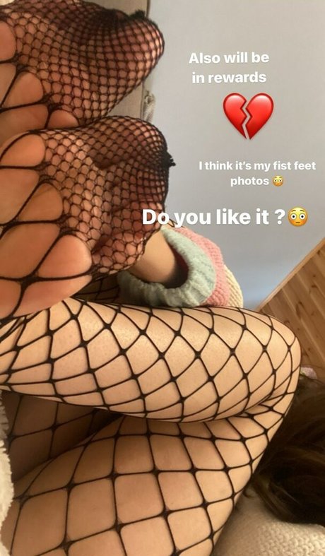 Kittew プロフィール写真