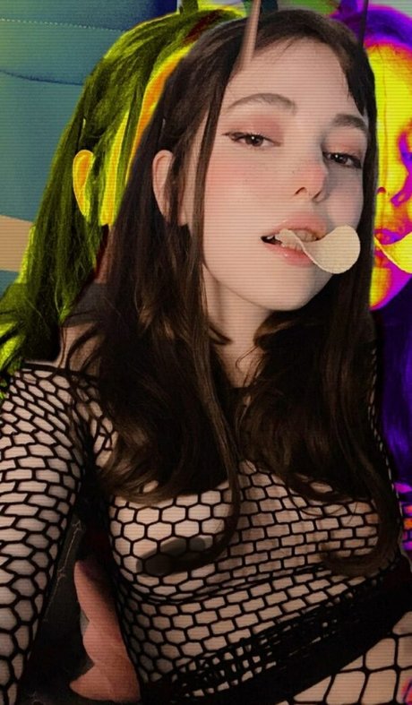 Kittew 限定モデル 画像