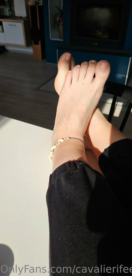 モンスターコックオンリーファンズ 無料ヌード 写真