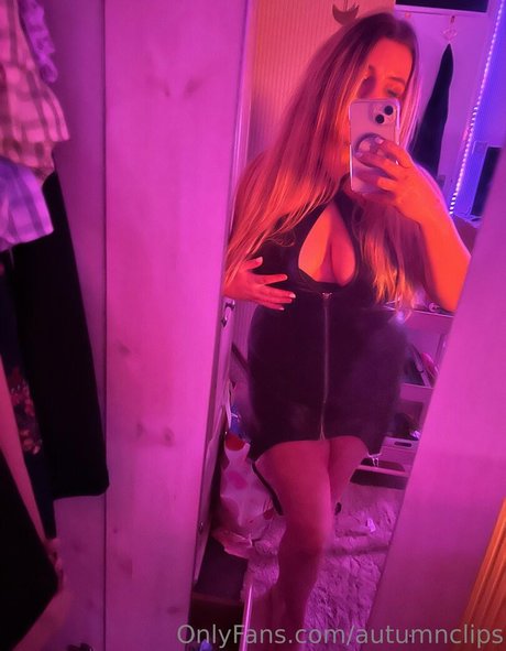 autumnclips 完璧なスター 画像