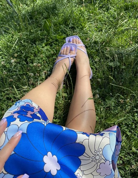 svettofficial ポルノスター トップ 写真