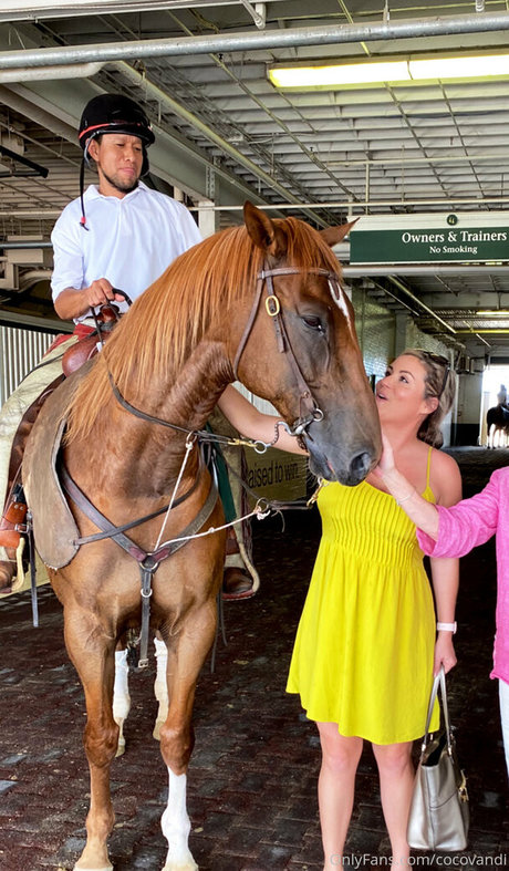 cocovandi 独占女優 画像