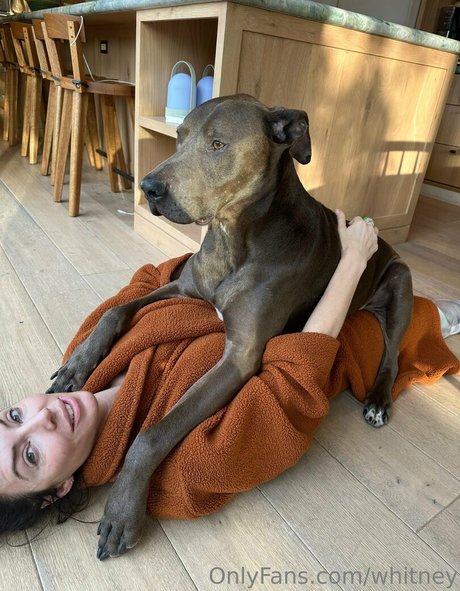 whitney トップ女優 ギャラリー