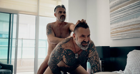 marcangeloxxx トップ女優 ギャラリー