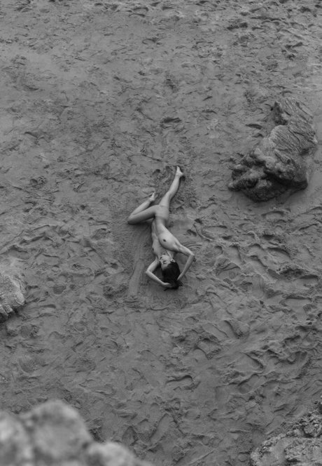 獣医オンリーファンズ 無料セクシー 写真