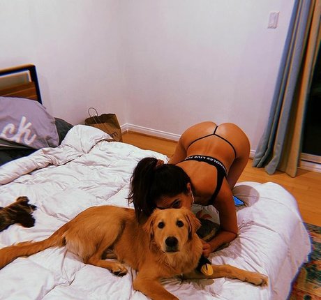 柔軟なティーンオンリーファン xxx 画像