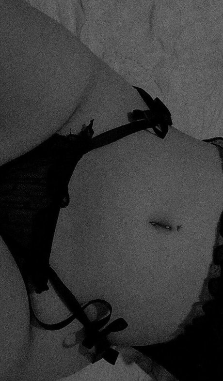 タンオンリーファン ベスト 画像