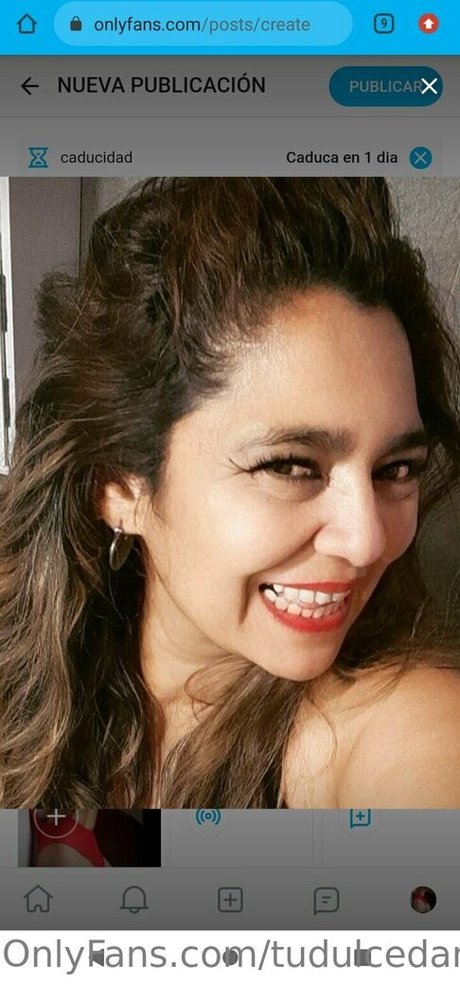 tudulcedama アートスター アーカイブ