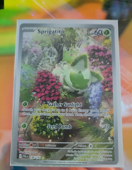 yureta2 モデル 写真