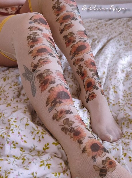 freyas kingdom 最高のスター 写真