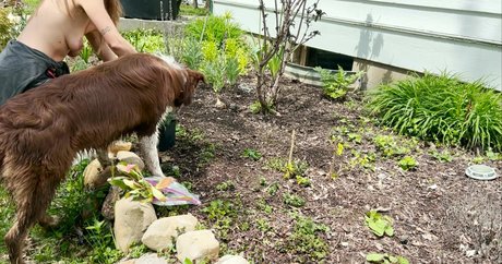 The Naked Gardener ヌードのポルノスター ギャラリー