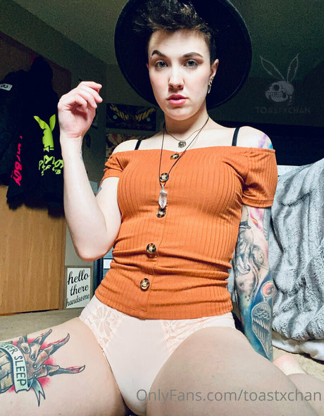 toastxchan HDモデル 写真