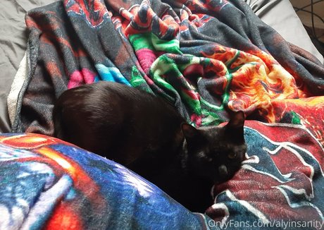 amy lovotomy トップポルノスター 写真