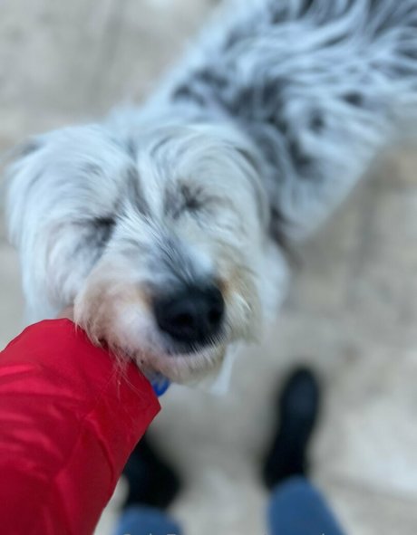 キムチオンリーファン 裸 写真