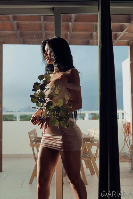 獣医オンリーファンズ 無料ヌード ギャラリー