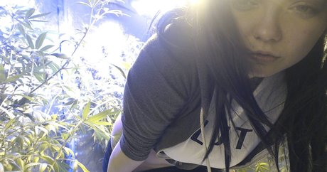 バニー無料オンリーファンズ ヌード 写真